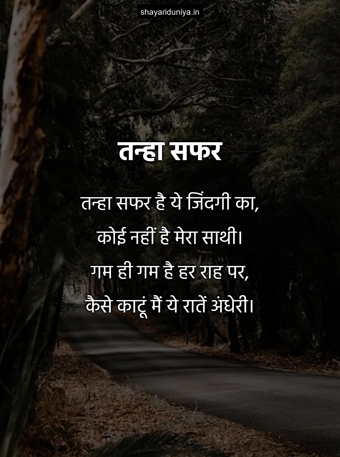 तन्हा सफर