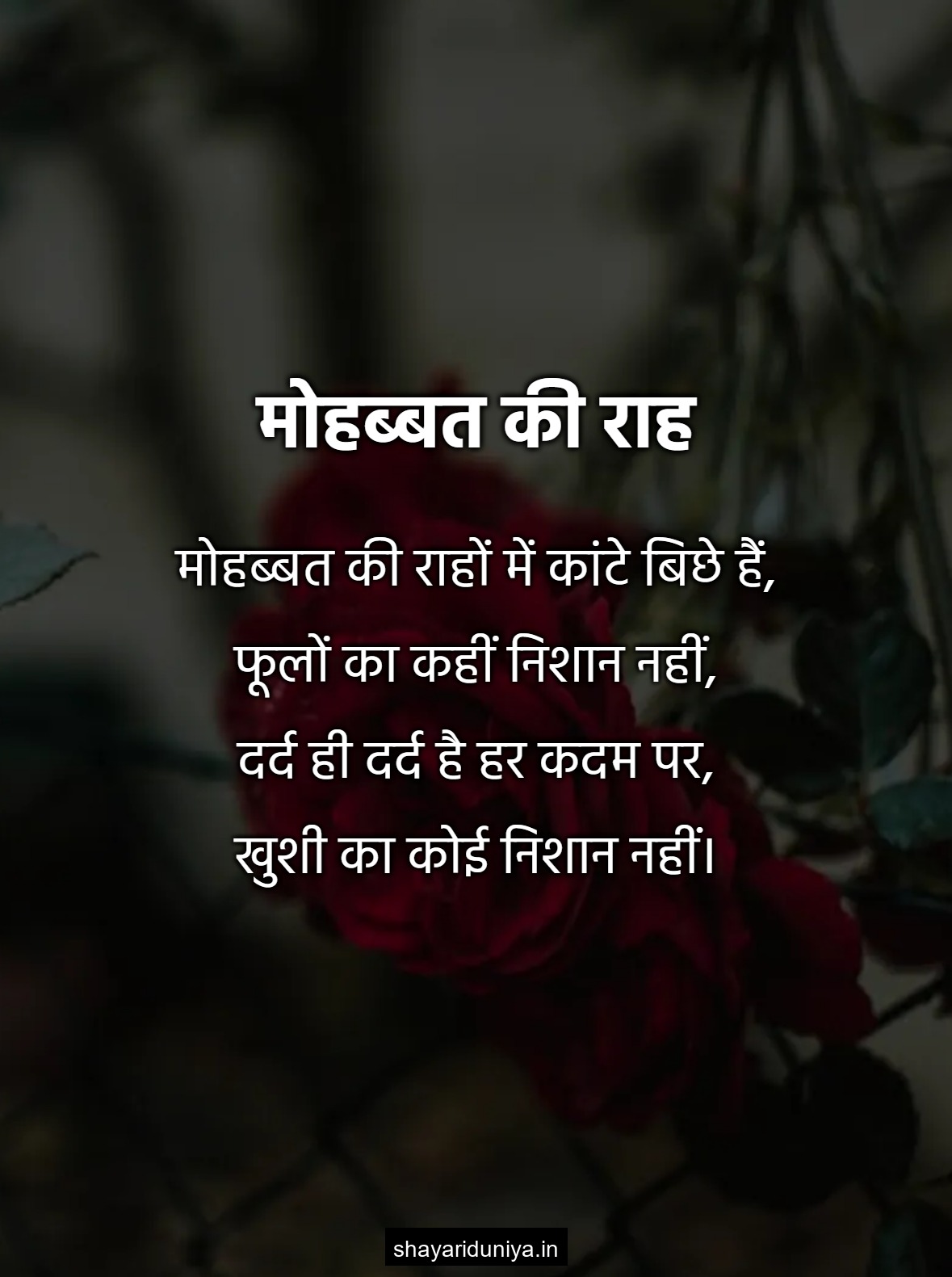 मोहब्बत की राह