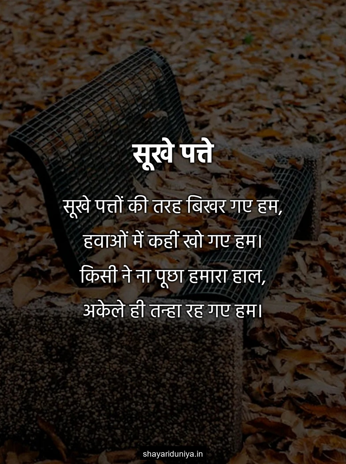 सूखे पत्ते