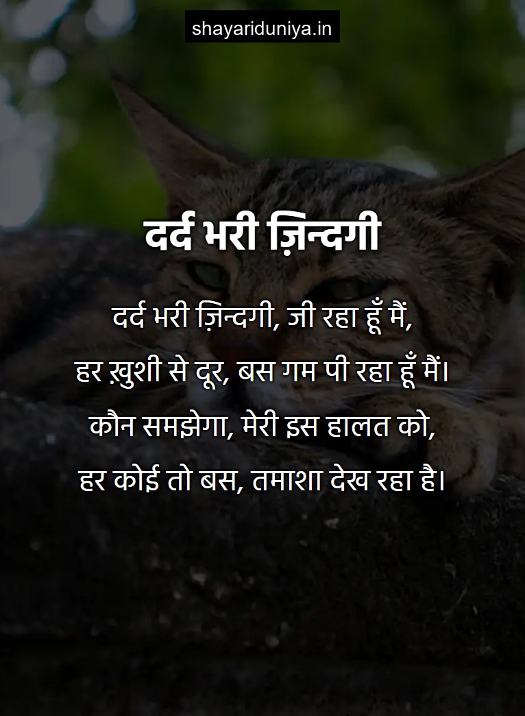 दर्द भरी ज़िन्दगी