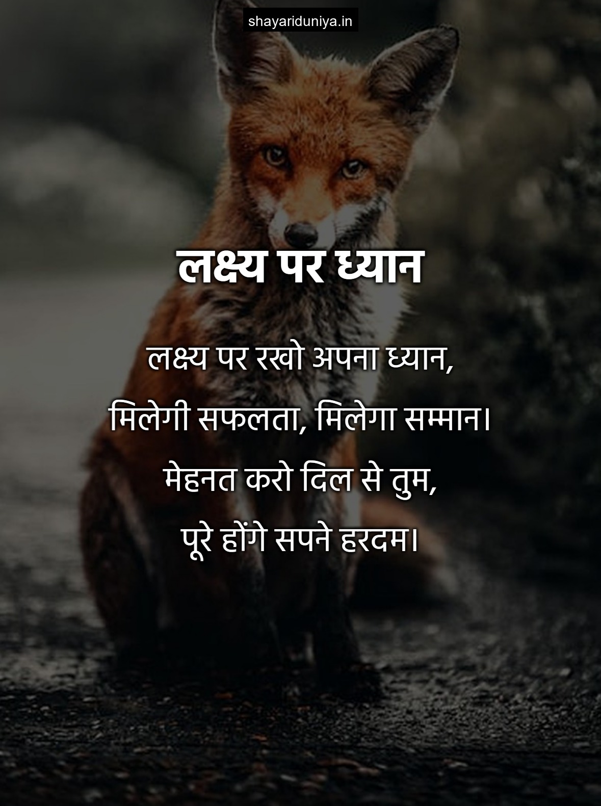 लक्ष्य पर ध्यान