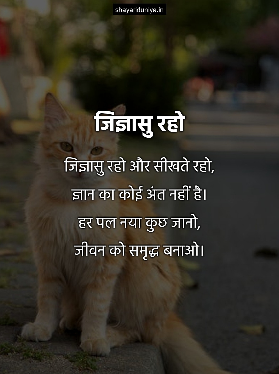 जिज्ञासु रहो